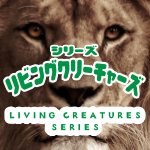 「リビングクリーチャーズ」シリーズ　 “Living Creatures” Series
