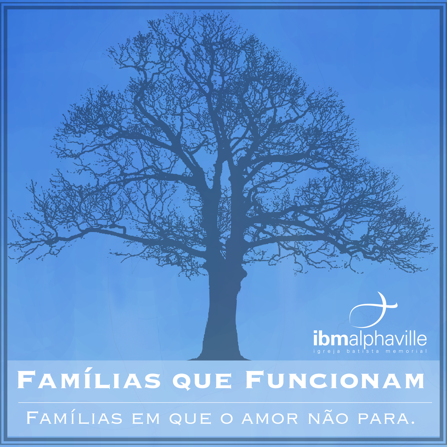 Famílias que funcionam podcast artwork